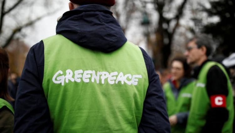Greenpeace восприняла оскорбления президента Бразилии как похвалу.