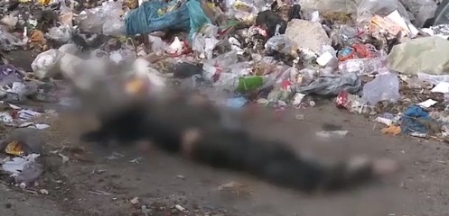 Страшную находку сделал столичный житель на мусорной платформе на улице Заводской.