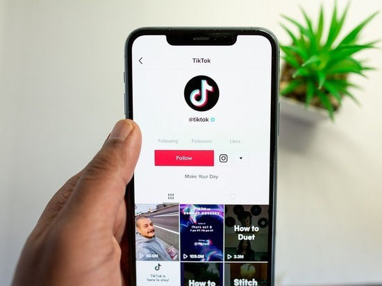 В Нидерландах хотят запретить TikTok на рабочих телефонах госслужащих.