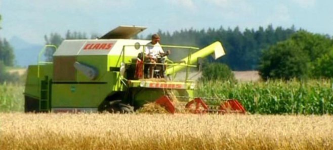 Агентство по интервенции и платежам в области сельского хозяйства временно приостановило прием заявок на субсидирование. 