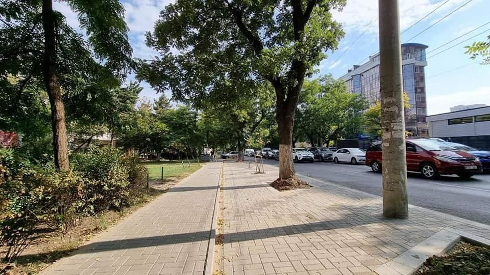 Продолжается обустройство зелёных зон в микрорайоне Телецентр.