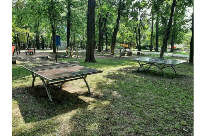 В Кишиневе установят столы для шахмат, тенниса и армрестлинга.