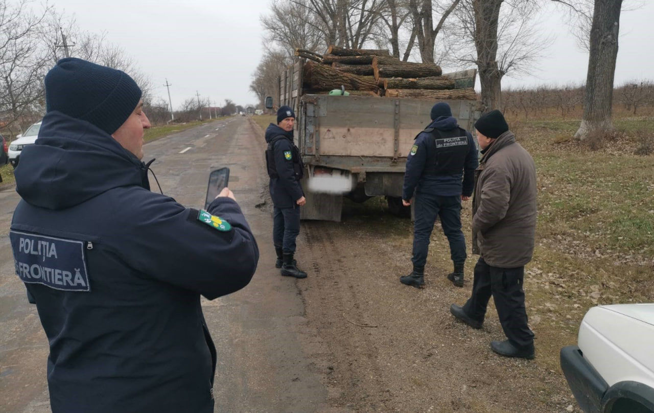 Transport ilegal de lemne: În raionul Briceni sunt efectuate controale.