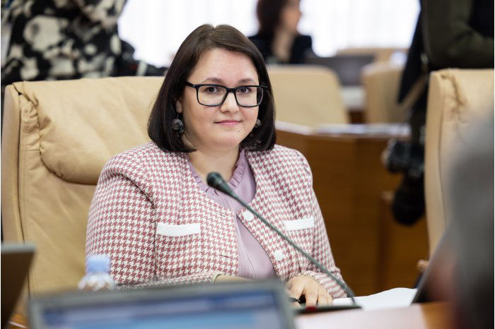 Дабижа: механизм освобождения от уплаты пошлин на импорт даст старт реализации проекта.