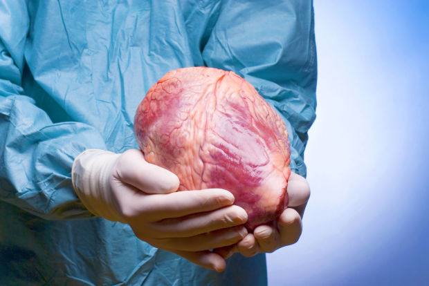 Transplantul de organe, misiune posibilă în Moldova. Foto: televiziunea-medicala.ro