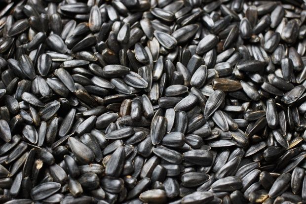 Rinichii sunt cei mai afectaţi din cauza excesului de sare, spun nutriţioniştii. 