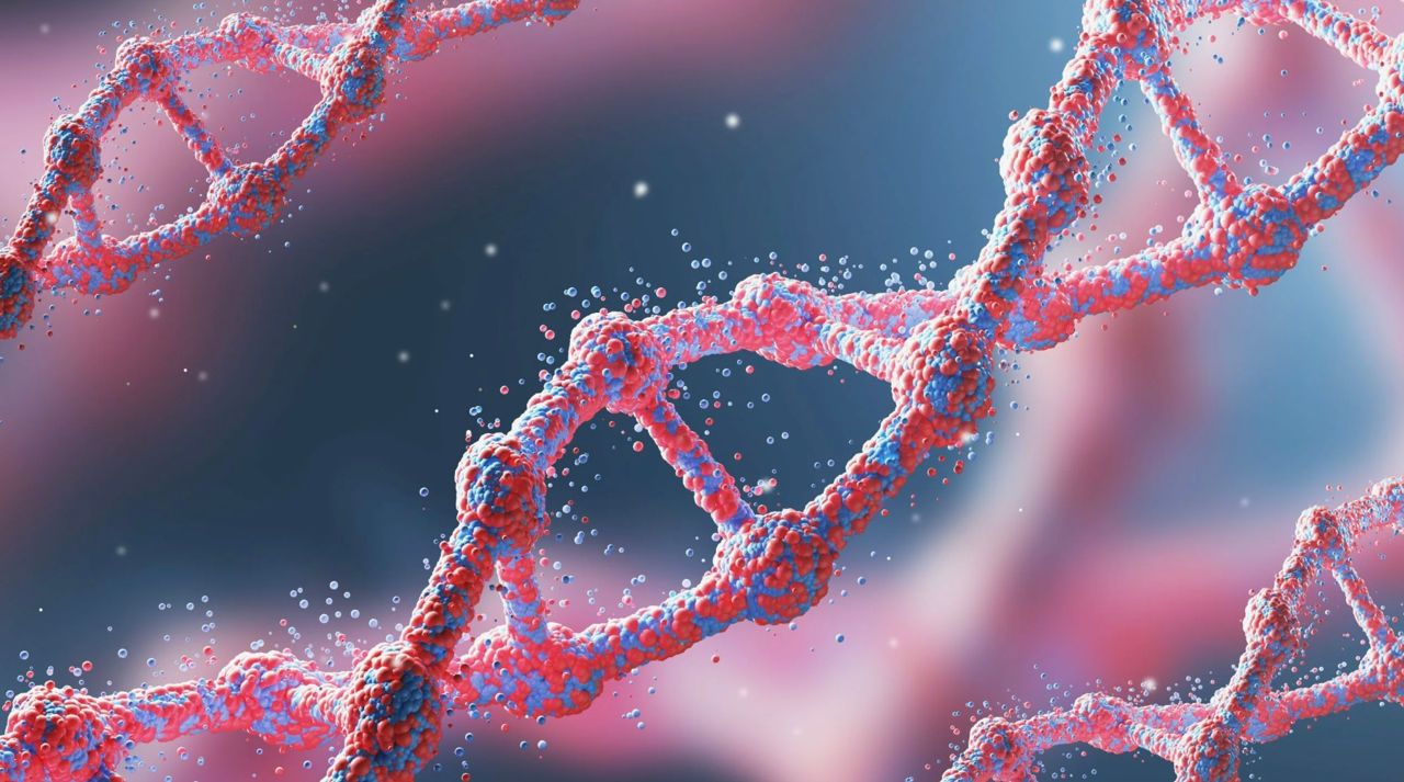 Japonezii propun o metodă inedită de slăbit: Modificarea genetică a ficatului.
