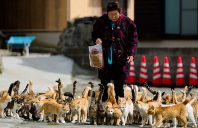 Acesta a fost înălțat în mijlocul insulei, în memoria unei feline care a murit accidental, strivită de o stâncă.