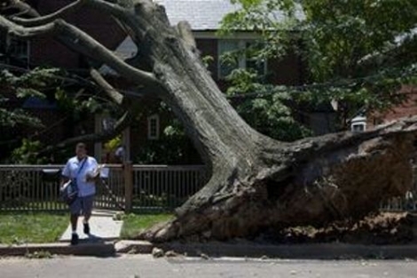 În regiunea Washington, unde 116.000 de persoane nu au avut curent electric marţi