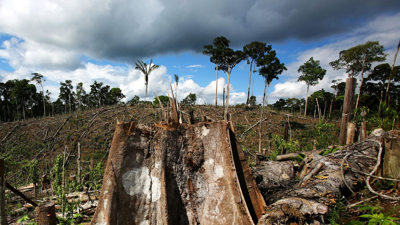 Încălzirea globală cu 1,5 °C poate distruge 70% din pădurile Amazonului.