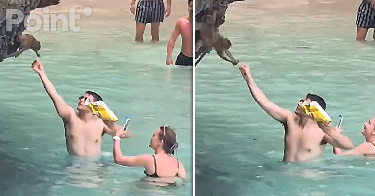 Thailanda a promis să pedepsească turiștii care au hrănit o maimuță cu chipsuri.