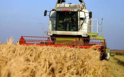 Agricultorii ar putea fi scutiți de impozitul pe venit. Foto: timpul.md