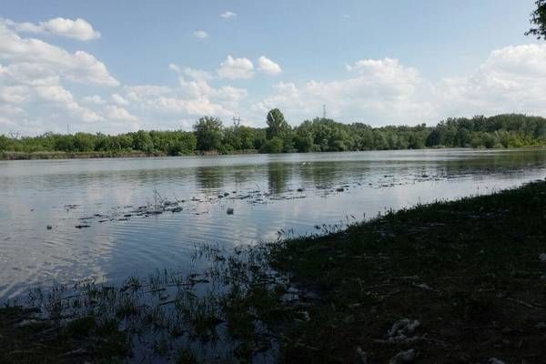 Уровень воды в реке Днестр за последние дни поднялся в среднем на 4 метра. 
