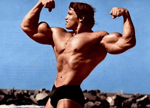 Известный культурист и актёр Арнольд Шварценеггер.