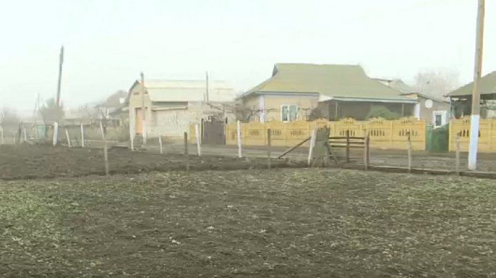 На окраине Чимишлии через пять лет появится ботанический сад.
