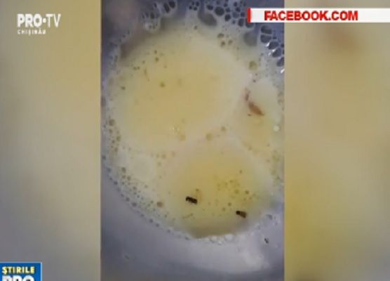 Cerealele cu viermi care au ajuns în mai multe grădiniţe din Capitală au fost întoarse furnizorului.
