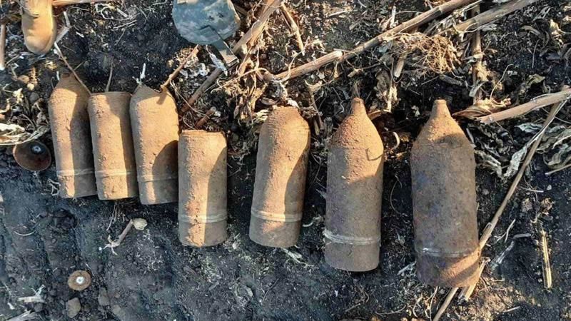 В Новых Аненах обнаружены боеприпасы времен ВОВ.