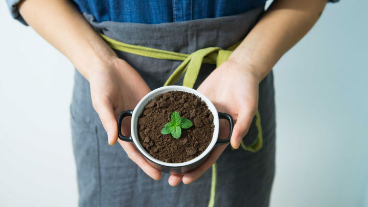 Cel mai bun îngrăşământ ecologic. Cum faci compost chiar dacă trăieşti la bloc. Foto: pexels.com