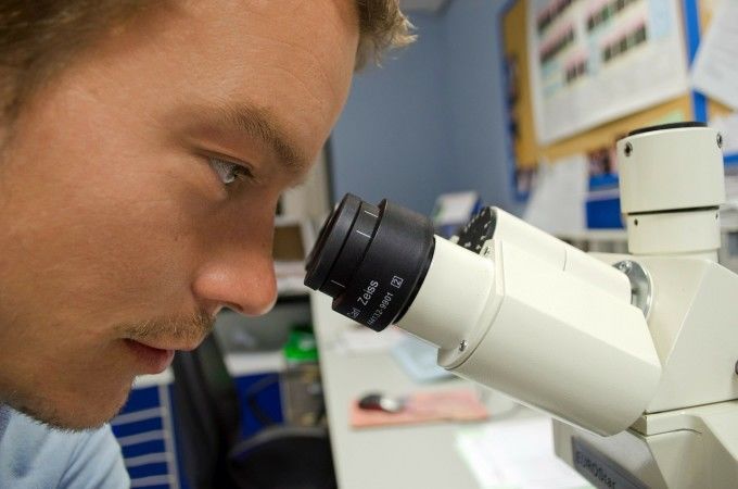 Întărirea sistemului imunitar, factor-cheie în prevenţia cancerului