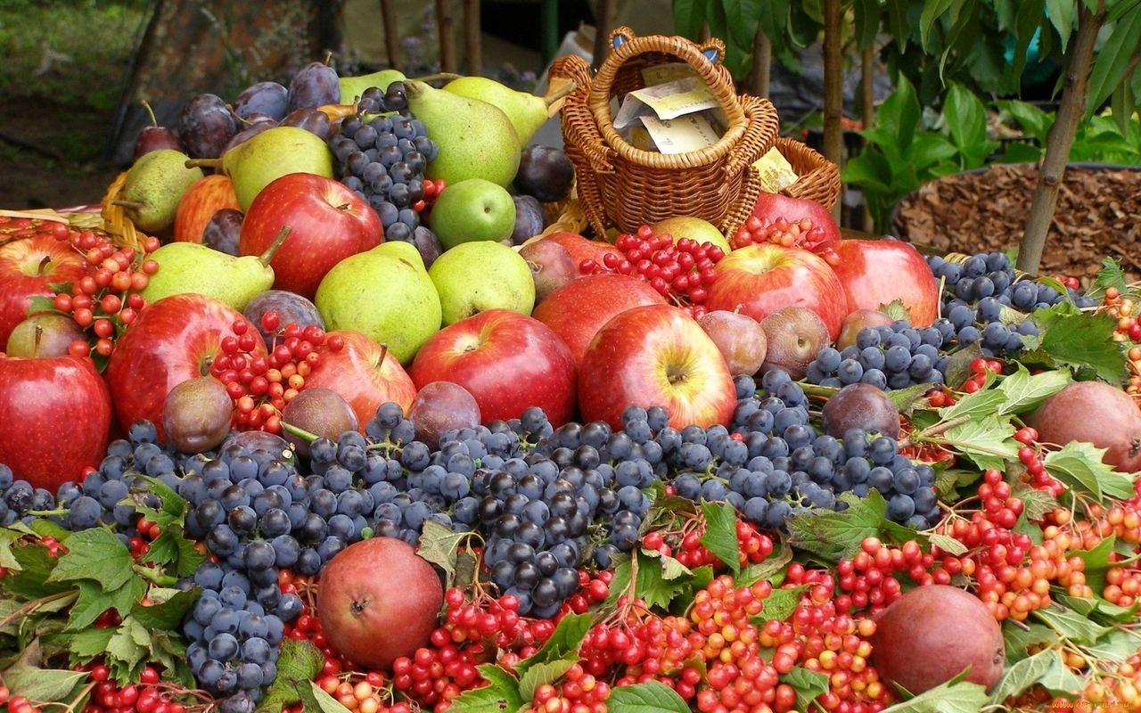 Când trebuie consumate fructele pentru a nu îngrășa. Foto: alphacoders.com