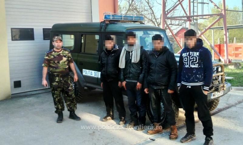 Peste 50 de migranți asiatici care încercau să intre în România ilegal, prinși la frontieră cu Serbia.