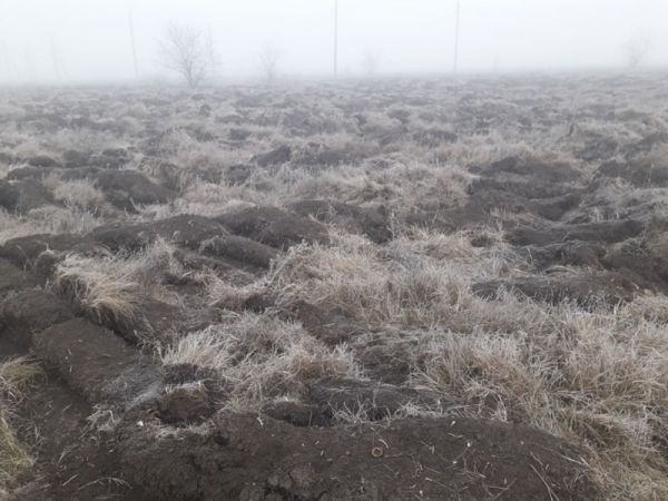 В Чадыр-Лунге перекопали городской парк.