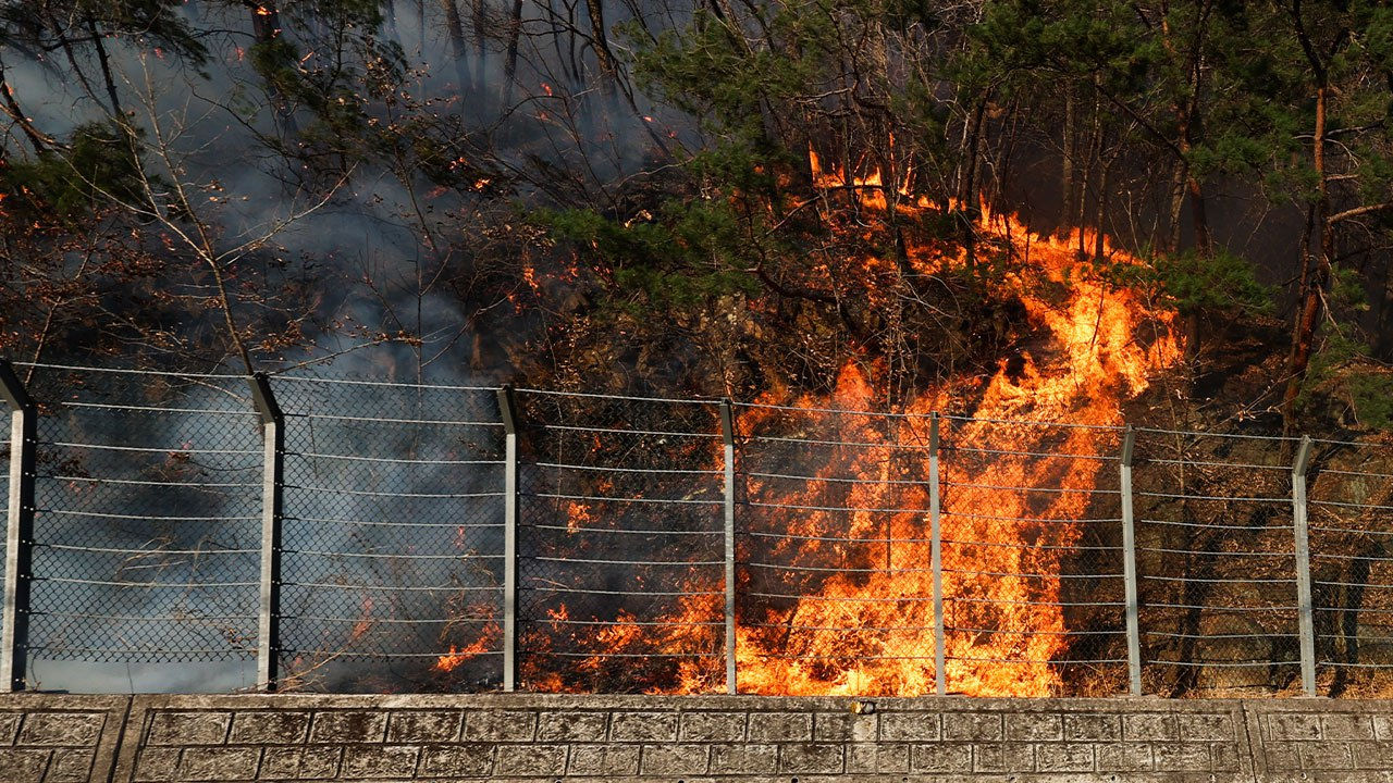 Peste 20 de incendii de vegetație mistuie Coreea de Sud: Există morți și persoane dispărute.
