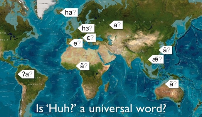 Un cuvânt precum „ă?” — ce este folosit atunci când nu reuşim să înţelegem ceea a spus altcineva — pare să fie universal.