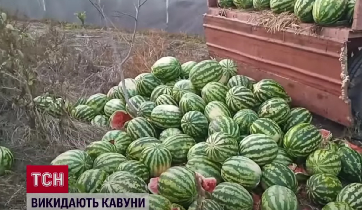 В Херсонской области фермеры в отчаянии выбрасывают на свалку арбузы.