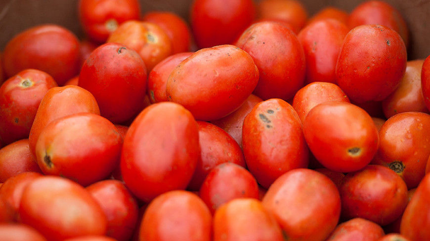 Диетолог перечислила продукты для профилактики рака кожи.