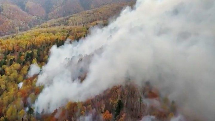 Incendii de pădure în Rusia. Peste 350 de pompieri luptă cu flăcările. Foto: tvc.ru