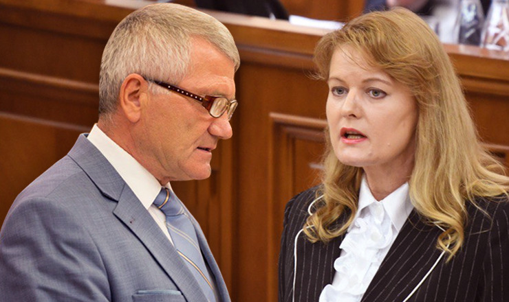 Unimedia: Шова и Рошка не голосовали за назначение Цуркана 