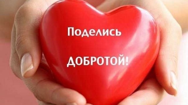 Организаторы мероприятия говорят, что они не только хотят помочь нуждающимся пожилым людям, но и дать еще один шанс семьям провести время вместе.