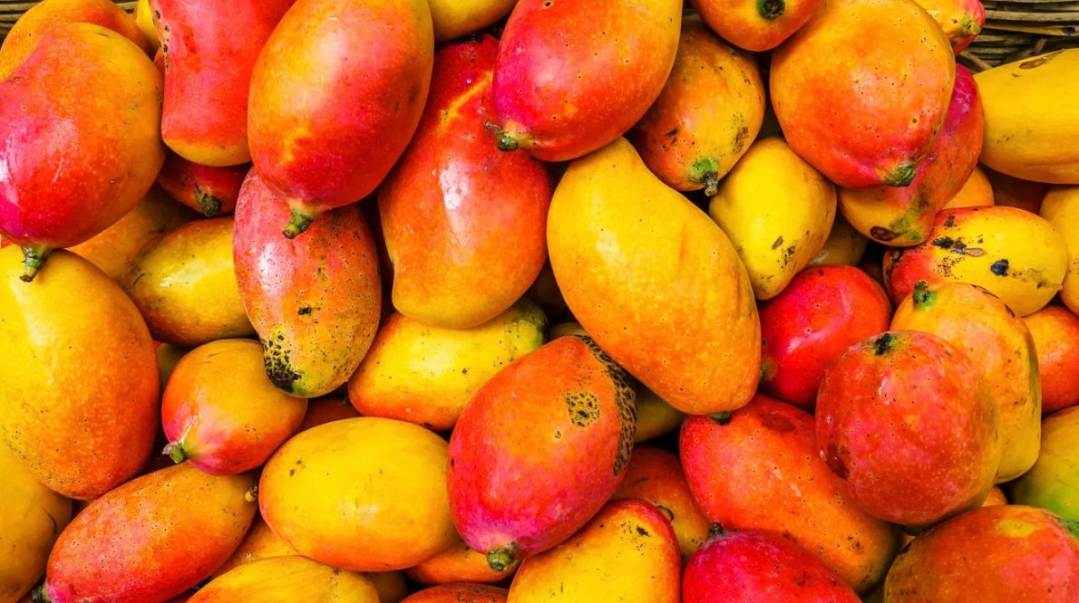 Mango, spanacul și porumbul sporesc eficiența medicamentelor împotriva cancerului.