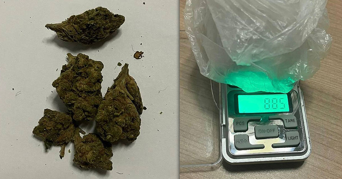 В Паланке задержали иностранца с наркотиками. Коллаж Point.md.