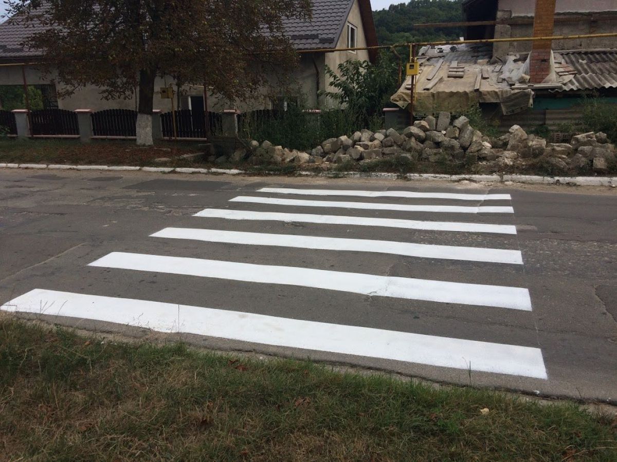 Poza zilei: Trecere de pietoni, desenată la Bardar. Unde duce aceasta. Foto: unimedia