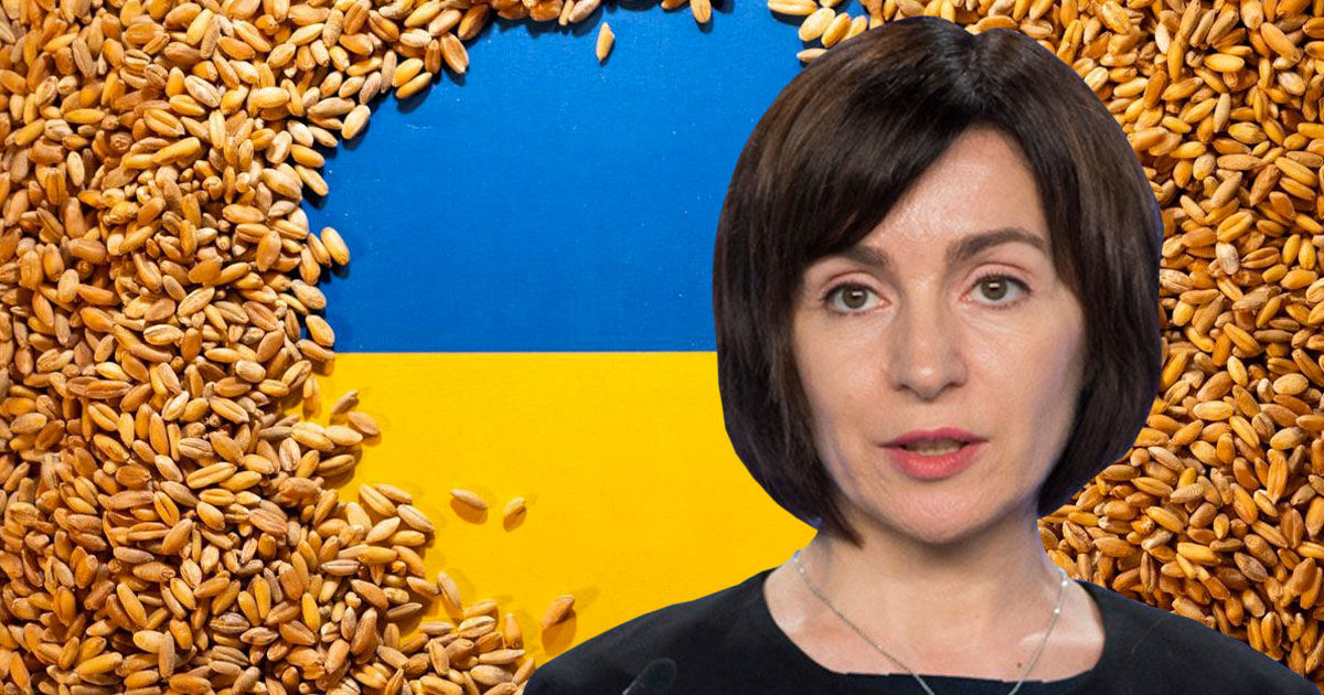 Санду о зерновой проблеме: Республика Молдова обязана помочь Украине. Коллаж: Point.md