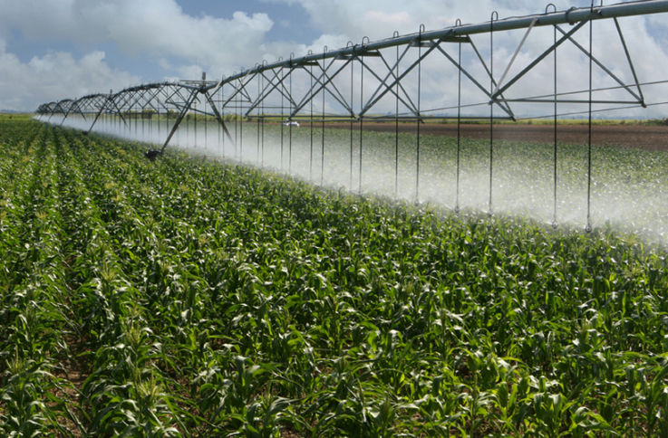 RM are nevoie de un sistem digitalizat de irigare a terenurilor agricole