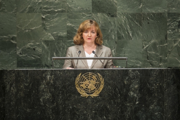 În contextul crizei din Ucraina, ministrul Natalia Gherman a reiterat importanța respectării prevederilor Cartei ONU și a Dreptului Internațional în eforturile de soluționare a conflictului.