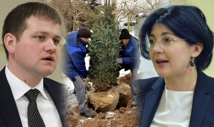 Munteanu, despre brazii plantați Radu: O comite iarăși contravențional