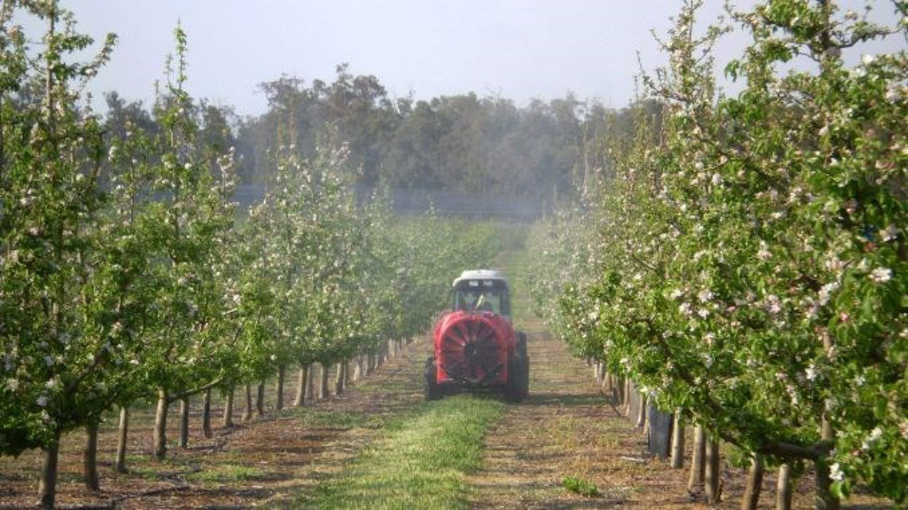Moldova investește peste 253 de milioane de lei pentru a crește competitivitatea agricultorilor cu livezi și vii moderne.