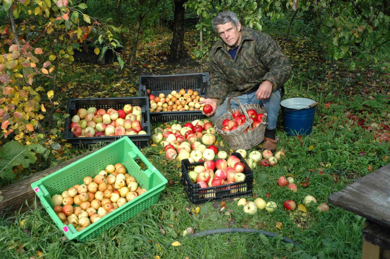 Костештские фермеры уже пользуются грантом.
