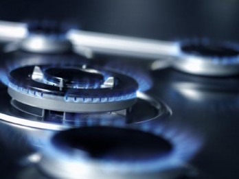 Ponderea consumatorilor casnici a fost de circa 32%, a agenţilor economici – 18%, iar a instituţiilor bugetare – de 5,6%.