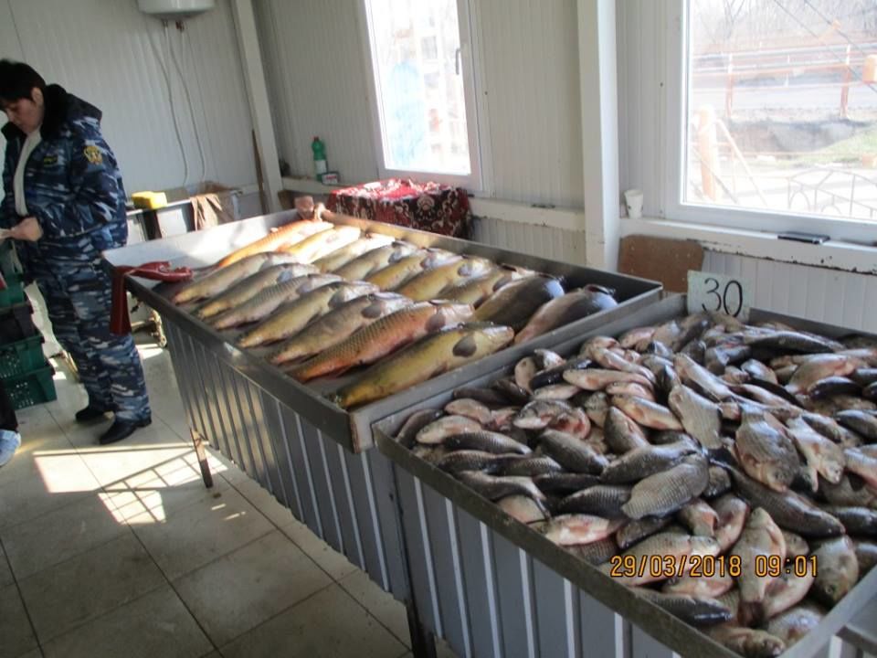 Общая сумма штрафов составила 21 000 леев. Фото: facebook.com/Serviciul Piscicol de Stat.