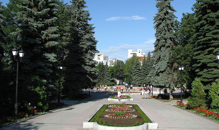 Прогулка по парку на небольшом поезде будет стоить 15 леев. 