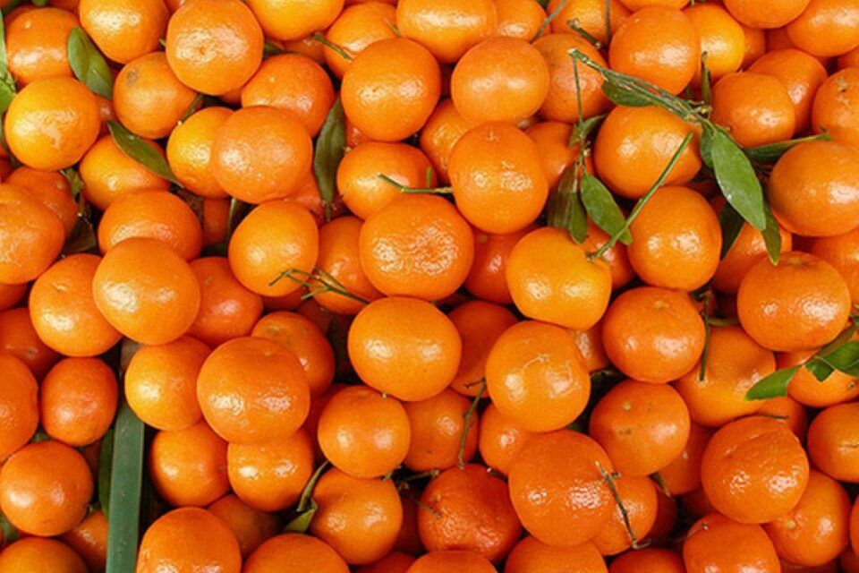 В Молдове резко подешевели цитрусовые. Фото: east-fruit.com.