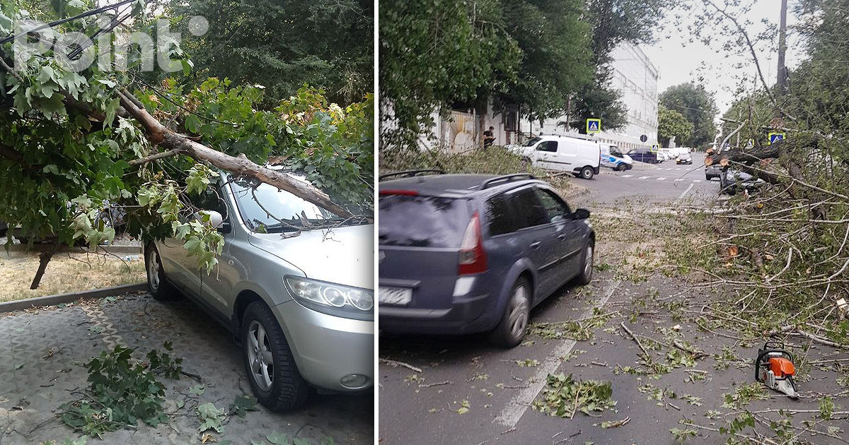 Consecințele furtunii în Capitală: Crengi rupte și copaci doborâți.