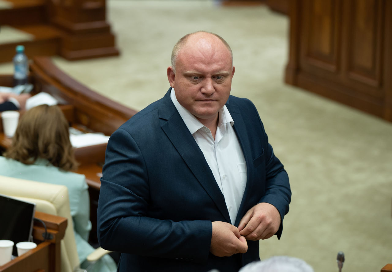 Инициатива об учреждении Дня пчелы вызвала шутки и иронию в парламенте.