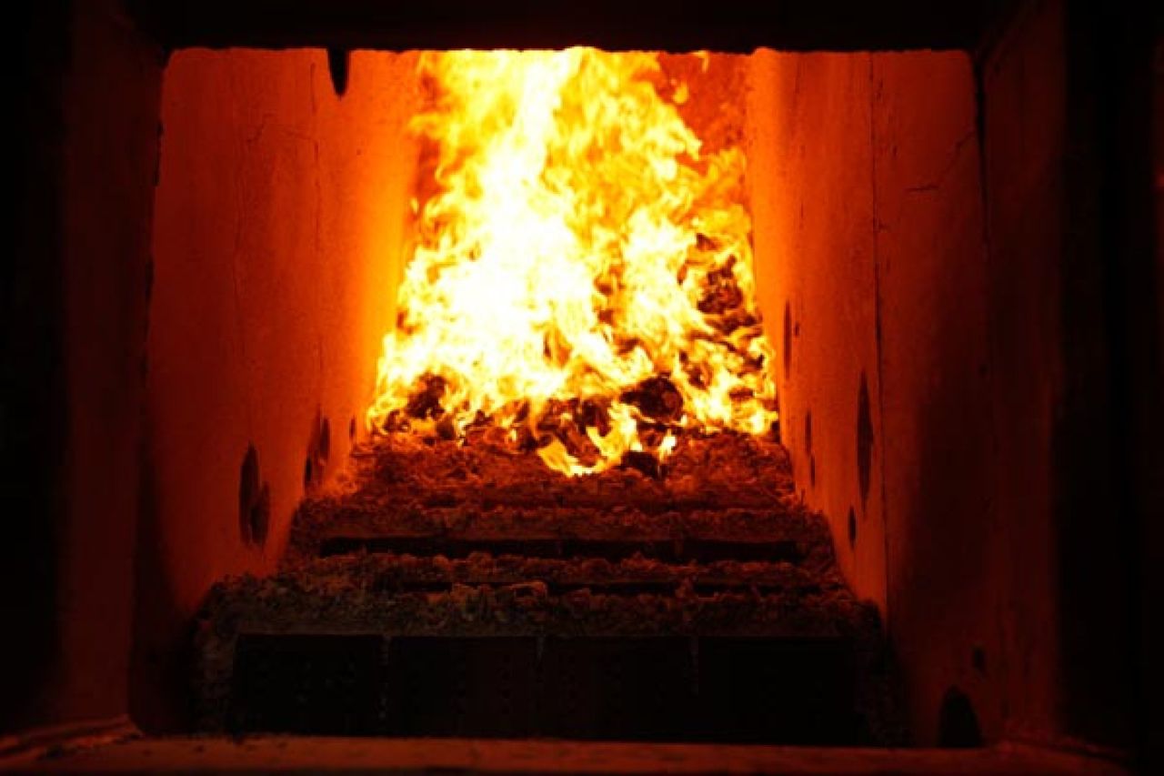 Animalele, incinerate. ANSA a primit un incinerator din partea Estoniei