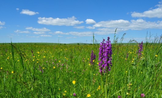 În următoarele zile vremea se anunță instabilă, dar cu temperaturi ce vor sări de +30 de grade Celsius.